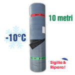 AUTOADESIVA -10 sfondo bianco